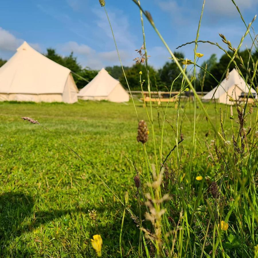 Bell Tent Glamping At Marwell Resort Winchester Kültér fotó